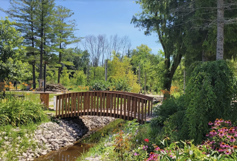 Wooden footbridge over a creek surrounded by gardens